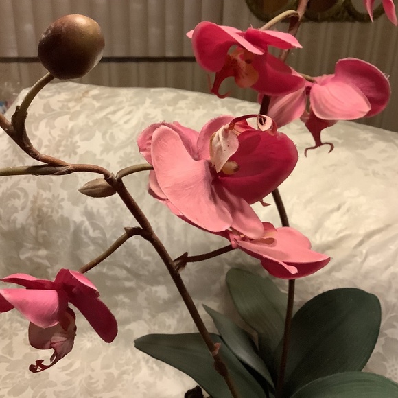 Artificial Tropical Exotic Pink Orchid Plant 30” height  25” base circumference - Picture 1 of 12